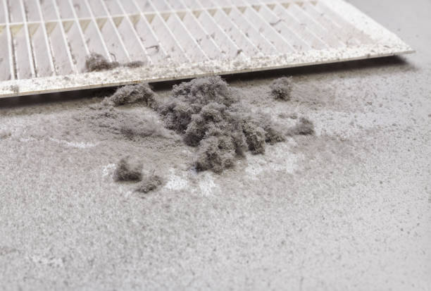 Best Local Air Duct Cleaning Services  in Rising Sun, MD