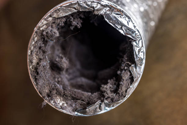 Best Commercial Air Duct Cleaning  in Rising Sun, MD