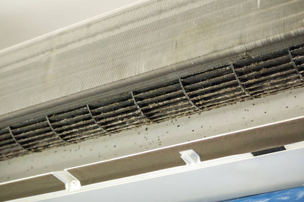 Best Professional Duct Cleaning Services  in Rising Sun, MD