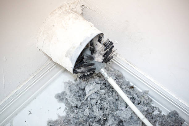 Best Air Duct Cleaning Near Me  in Rising Sun, MD