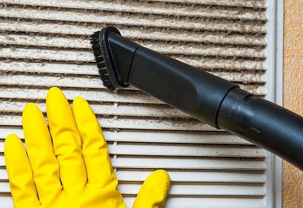 Best Ductwork Cleaning Services  in Rising Sun, MD